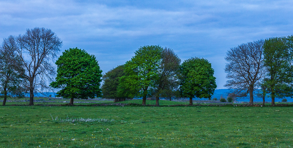 Middleton Moor Middleton Moor
